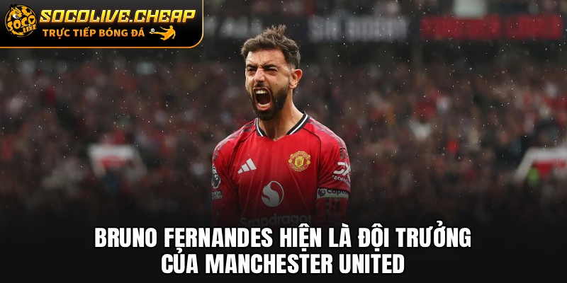 Bruno Fernandes hiện là đội trưởng của Manchester United