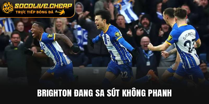 Brighton đang sa sút không phanh