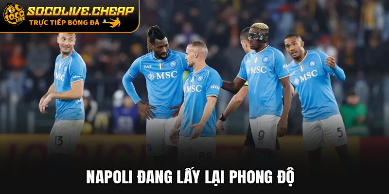 Napoli đang lấy lại phong độ
